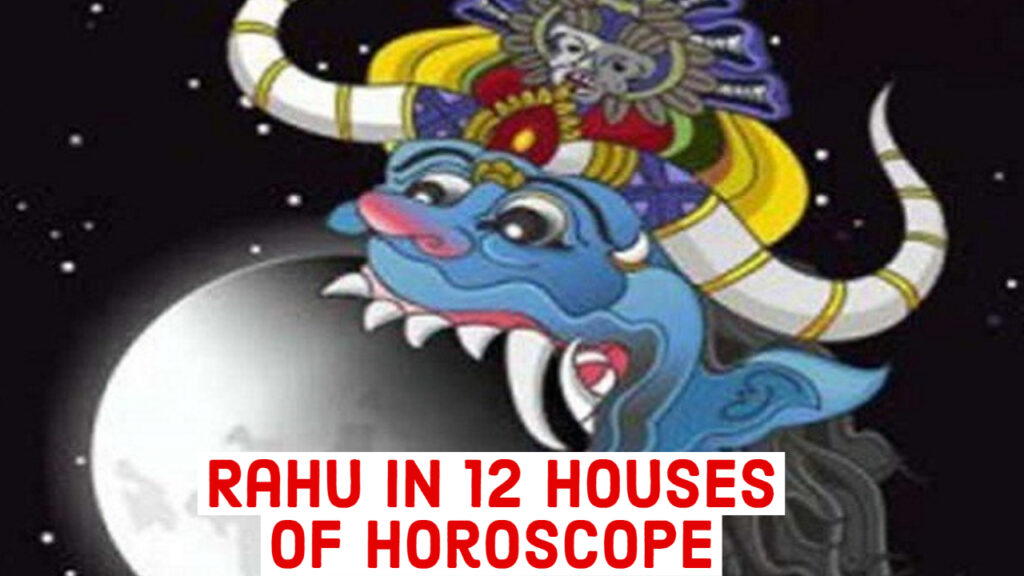 Rahu in 12 houses of horoscope