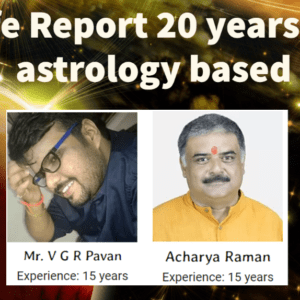 Life Report 20 years KP Astrology based